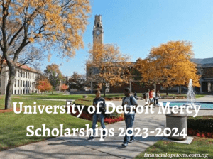University of Detroit mercy scholarships 2023-2024